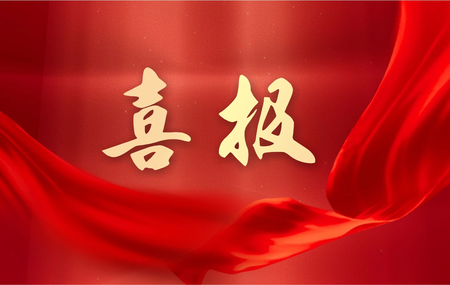 營(yíng)收凈利雙增長(zhǎng)！依頓電子2025年一季度經(jīng)營(yíng)業(yè)績(jī)續(xù)寫高質(zhì)量發(fā)展華章